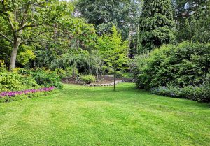 Optimiser l'expérience du jardin à Vernoux-sur-Boutonne